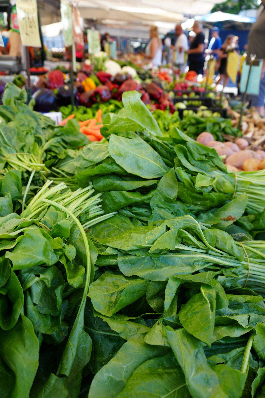Fotografia di banco ortofrutta al mercato — content creation BEX Communication